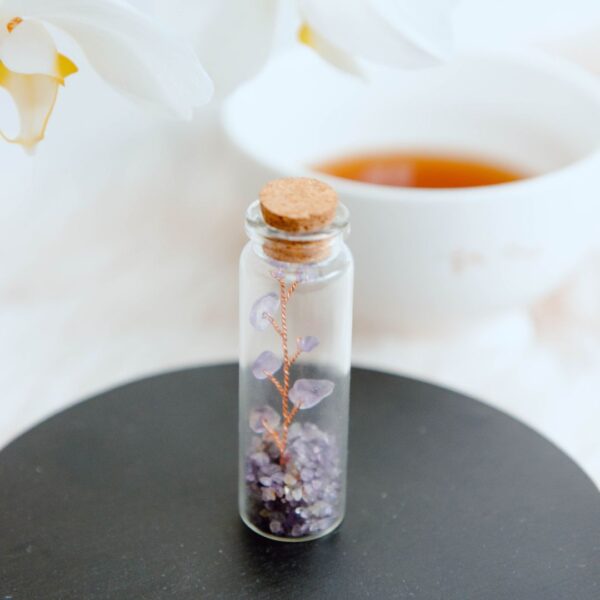 Wish bottle - healing card amethist